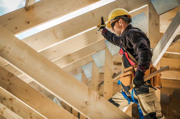 Roof Gutter Cleaning in Florence, AL